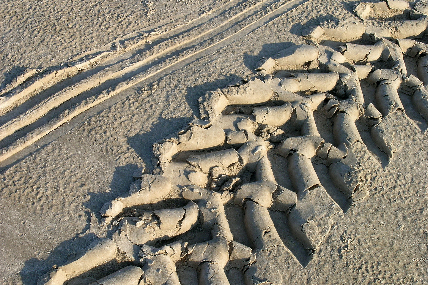 Tractor tracks for beachside camping