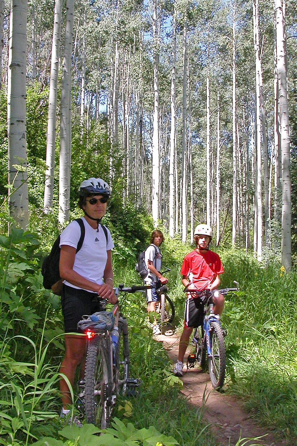 Lolo and boys on Vail singletrack