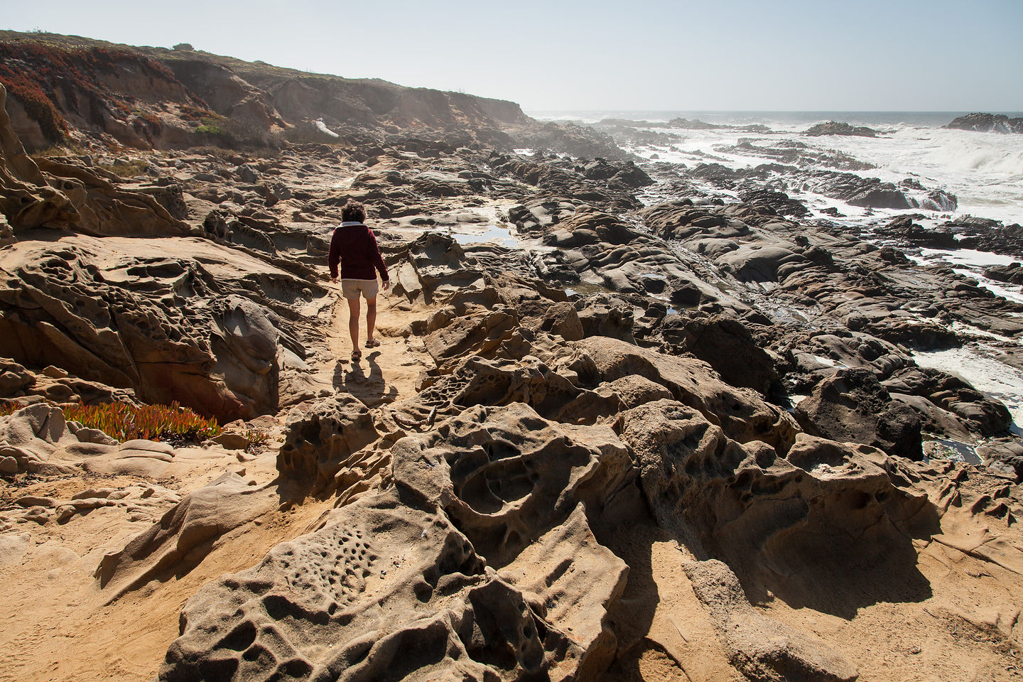 Lolo of Pebble Beach in Pescadero