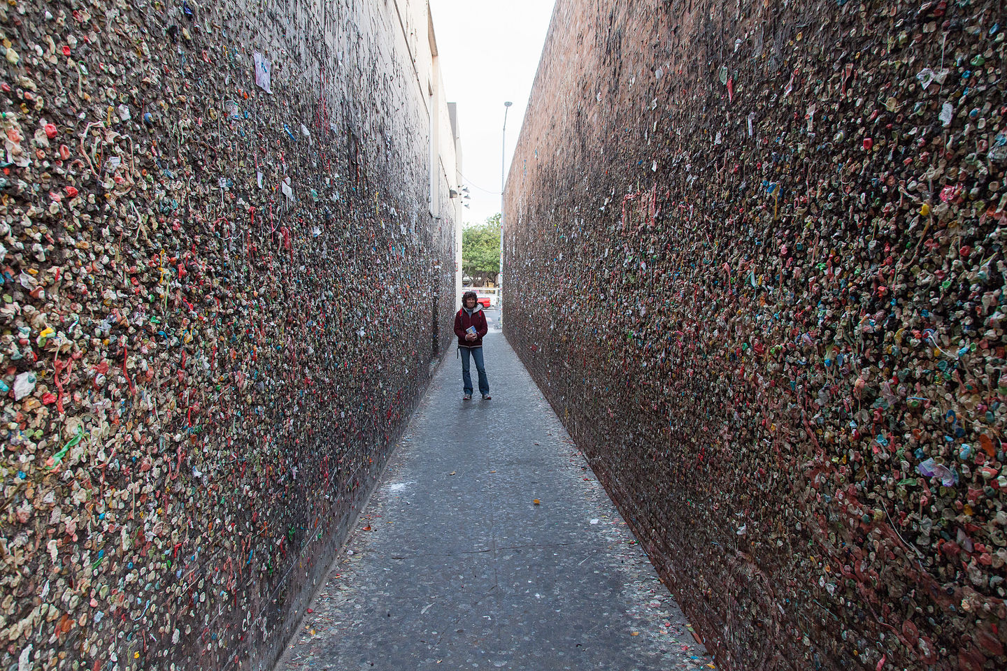 Lolo in Bubblegum Alley