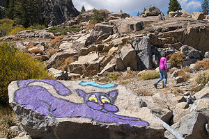 Lolo Hiking by the Snowsheds with Purple Cat