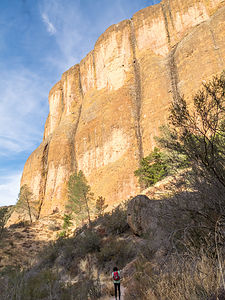 Old Pinnacles Trail