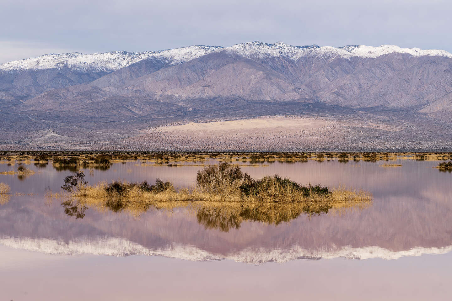 Ephemeral Pond near Panamint Springs