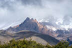 Jagged Mount Ruapehu Jagged Mount Ruapehu