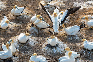 "Sticking" the landing