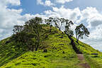 Mangere Mountain