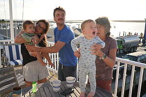 Alien attack or seagull