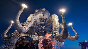 El Pulpo Magnifico  is very excited