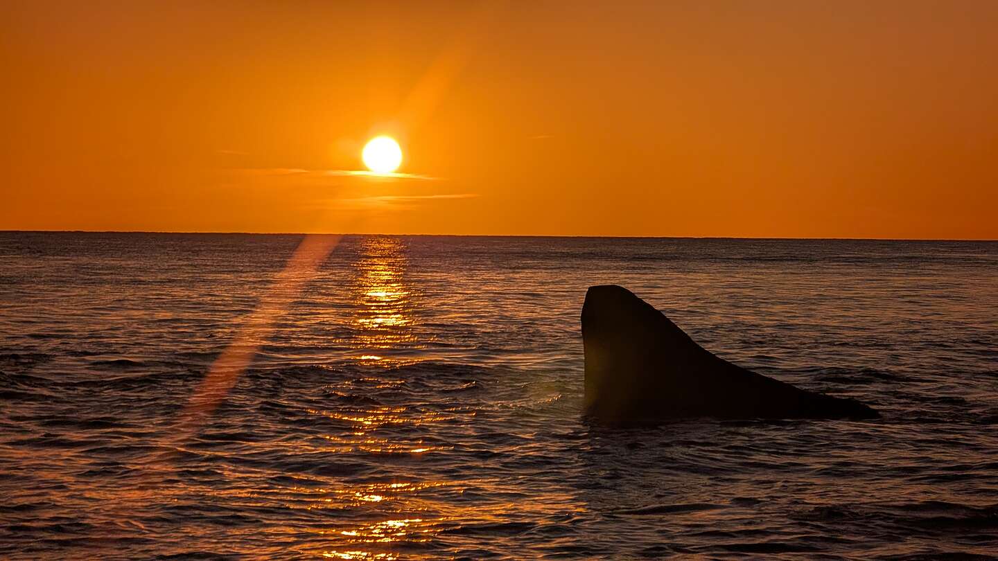 Moshup Beach at Sunset