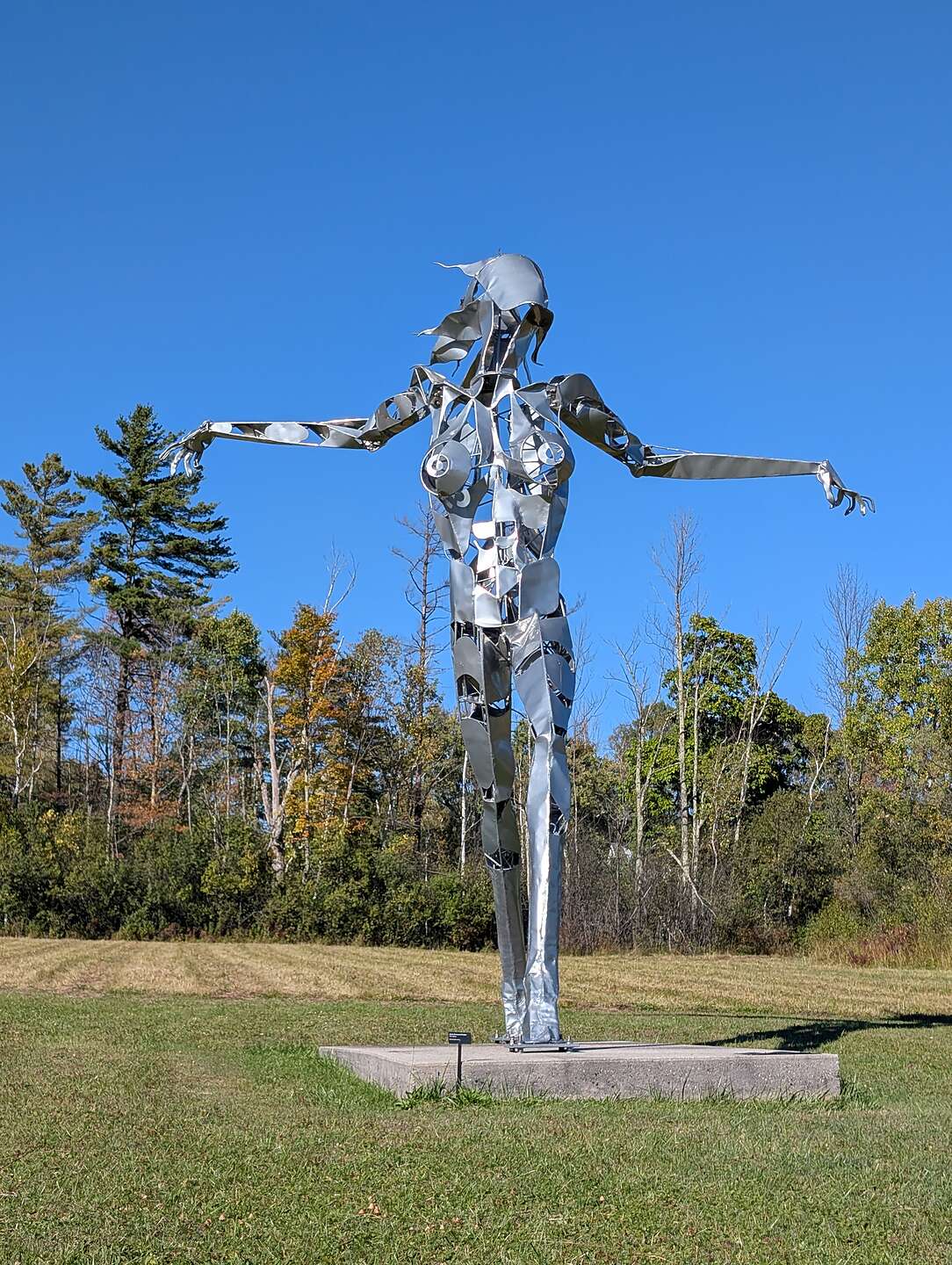 SVAC sculpture garden