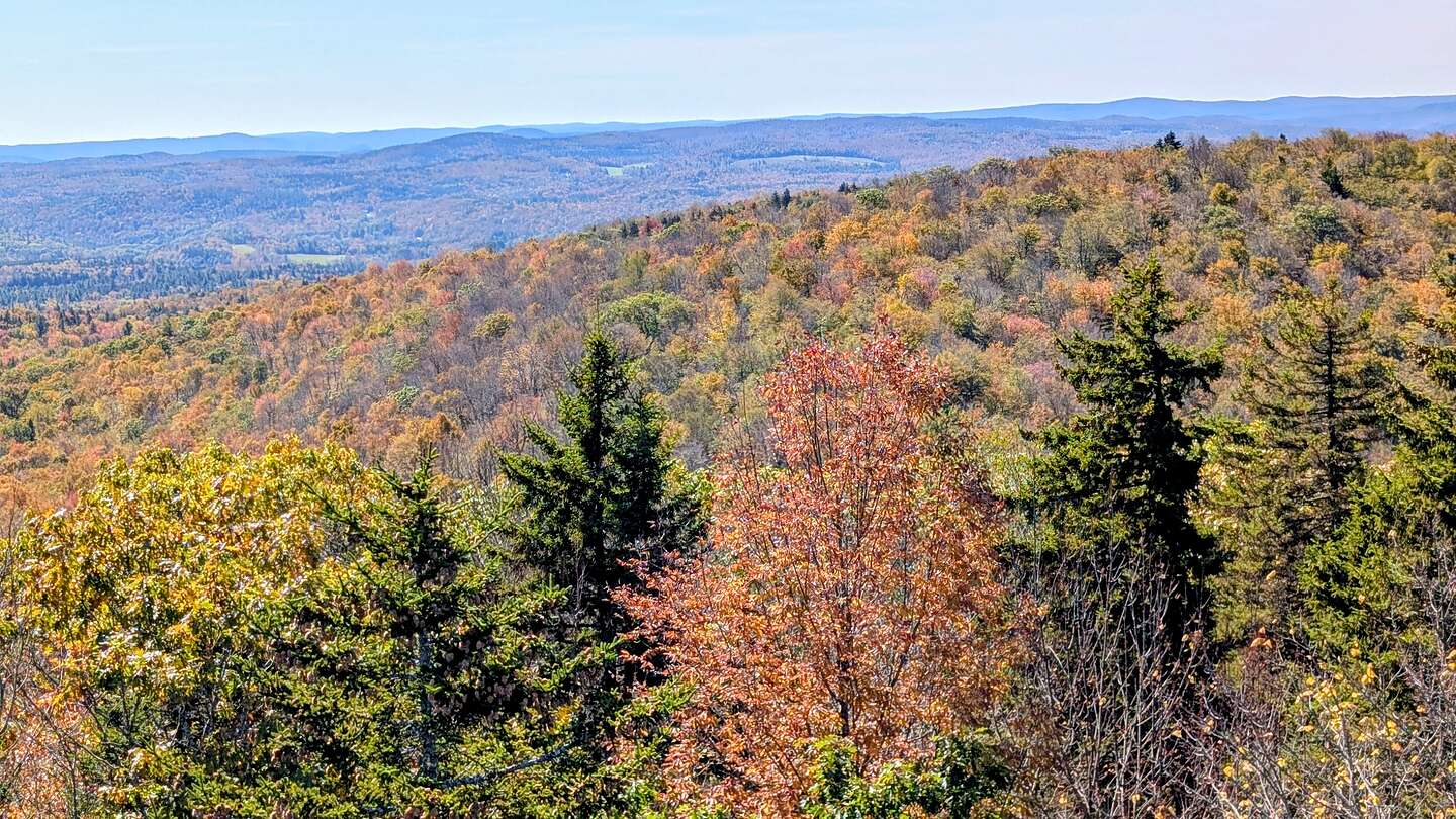 View from atop the fire tower