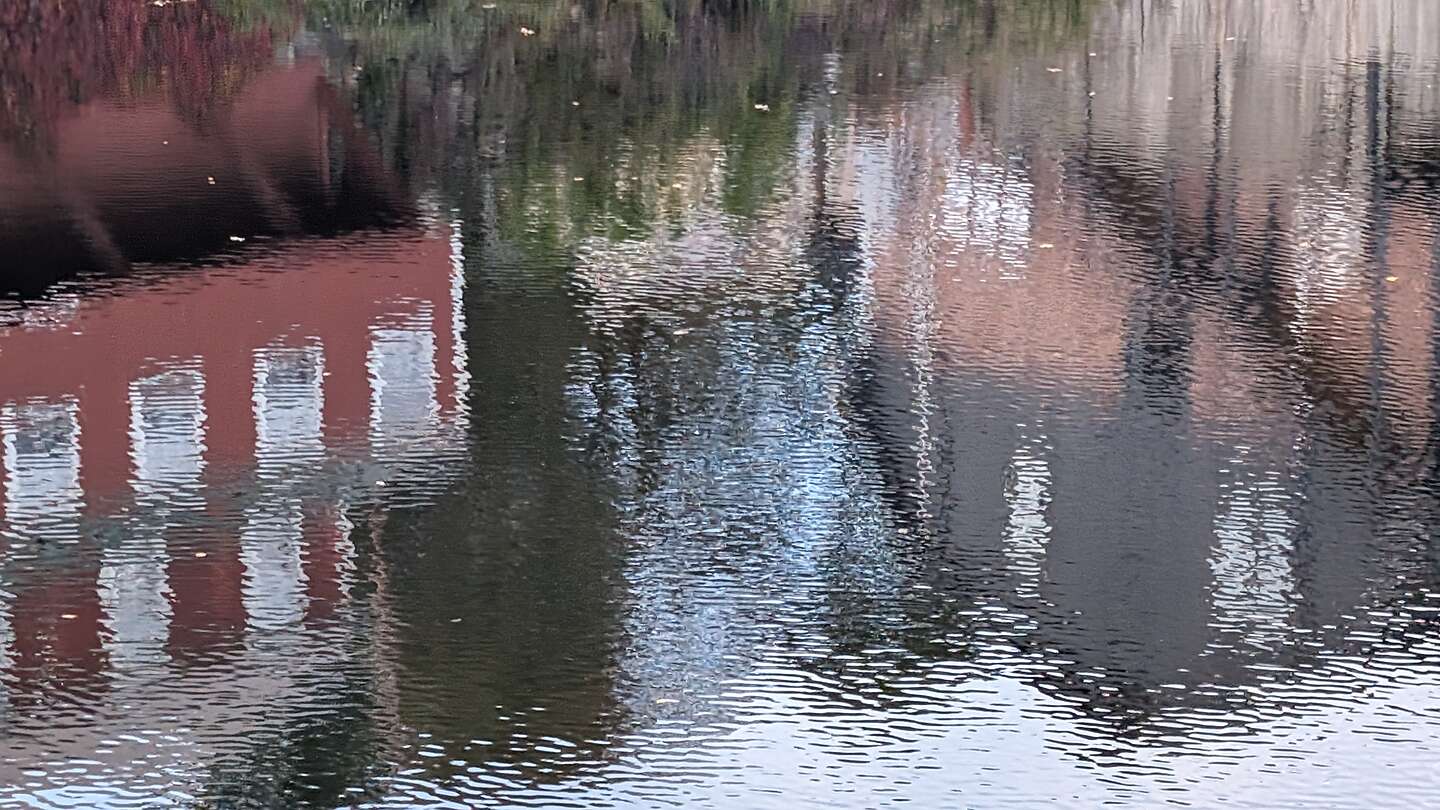 Reflections from the Bridge of Flowers