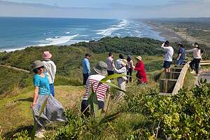 Tour bus joins us at Muriwai Beach Lookout