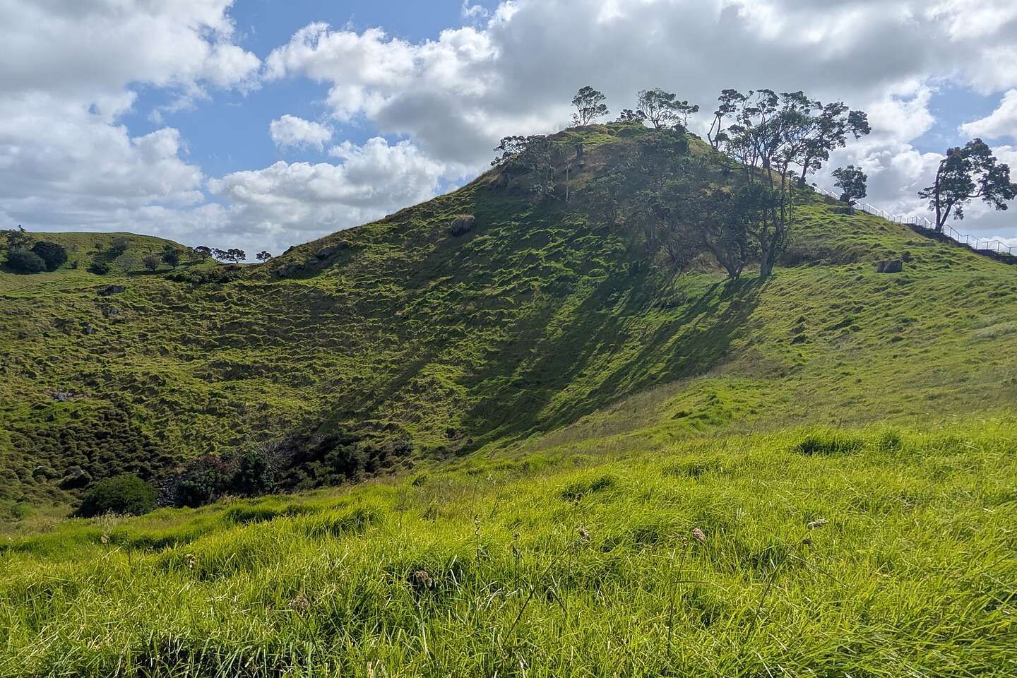 Mangere Mountain
