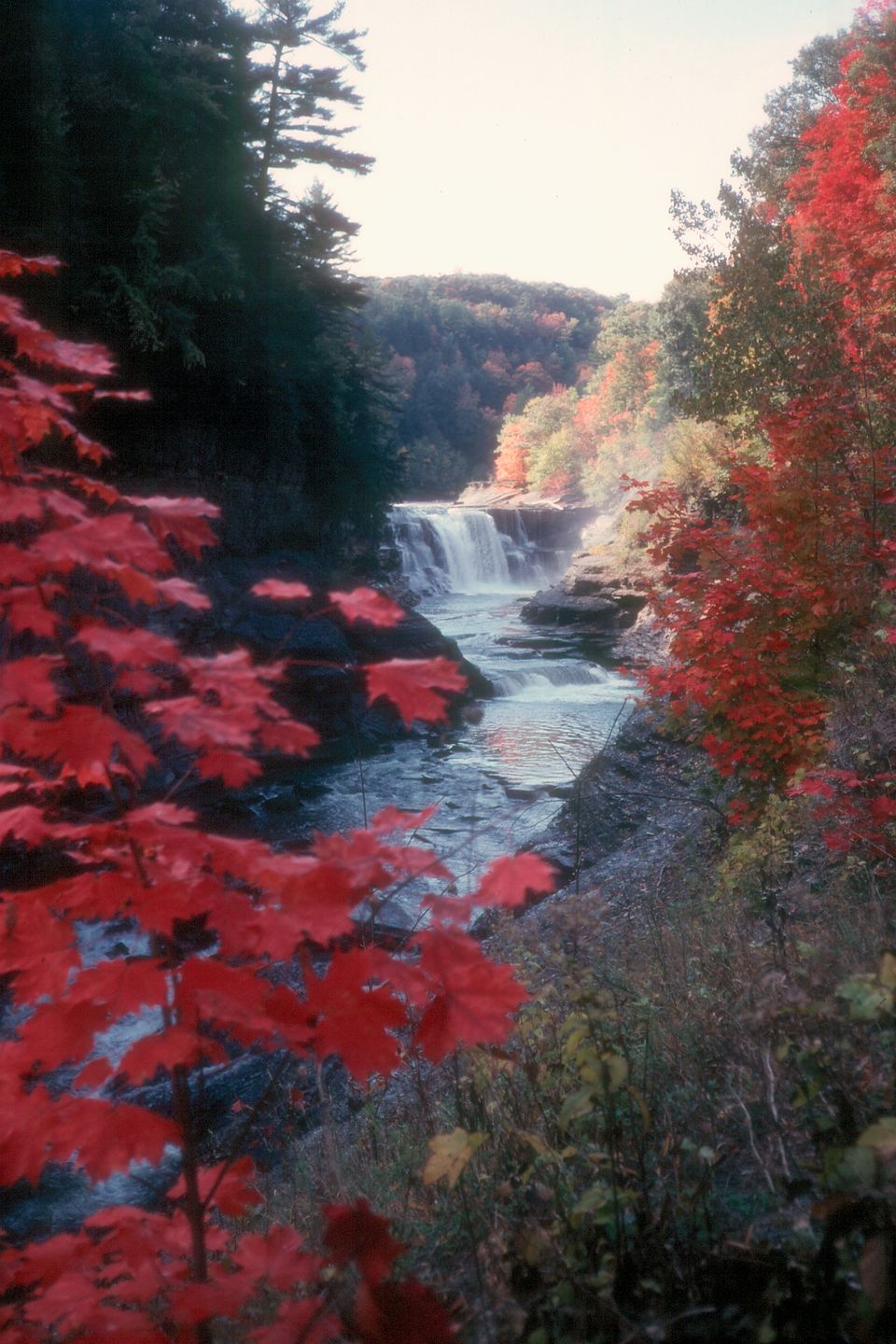 Letchworth falls and leaves