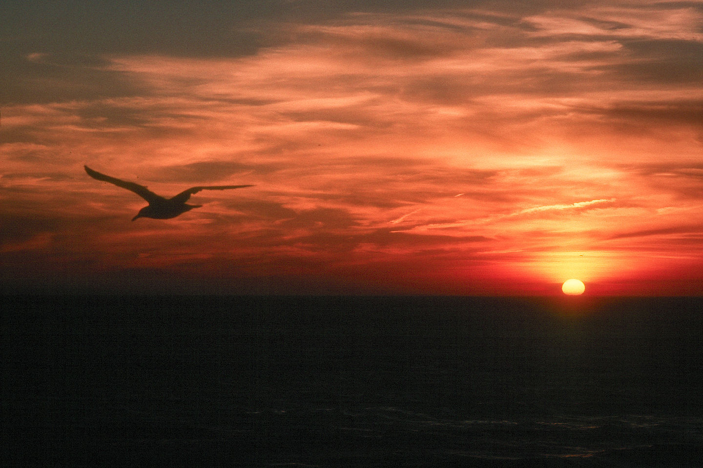 Sunset at Herring Cove Beach