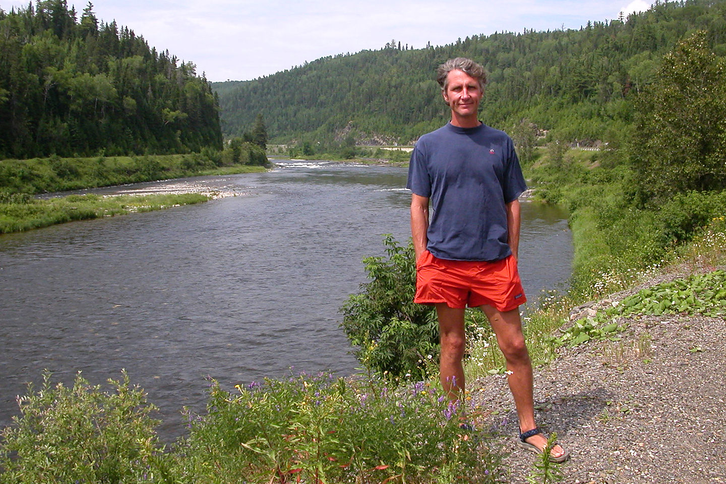 Herb along the Metapedia River