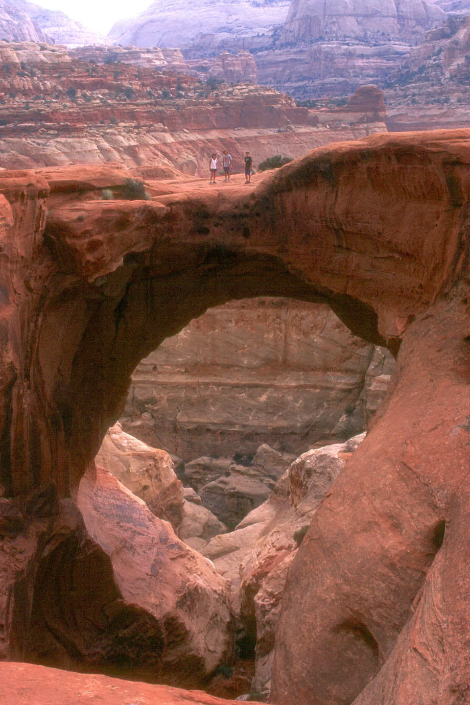 Lolo and the boys on Cassidy Arch