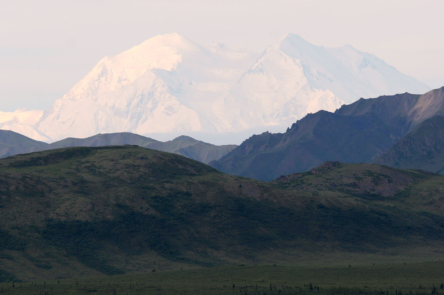 Denali