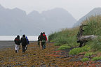 Gang hiking on Caine's Head Coastal Trail