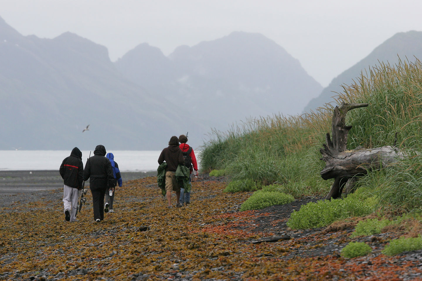 Gang hiking on Caine's Head Coastal Trail