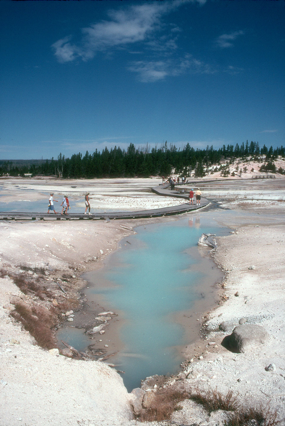 Lolo and boys at Norris Basin