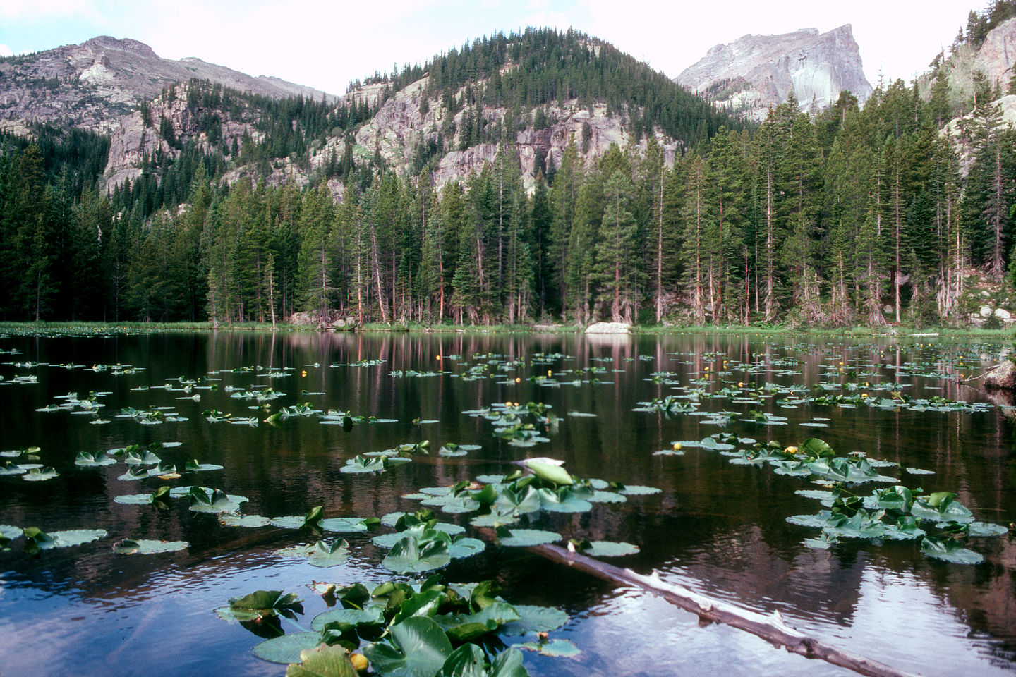 Lake along Emerald Lake Trail