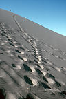 Climbing the Bruneau Dunes