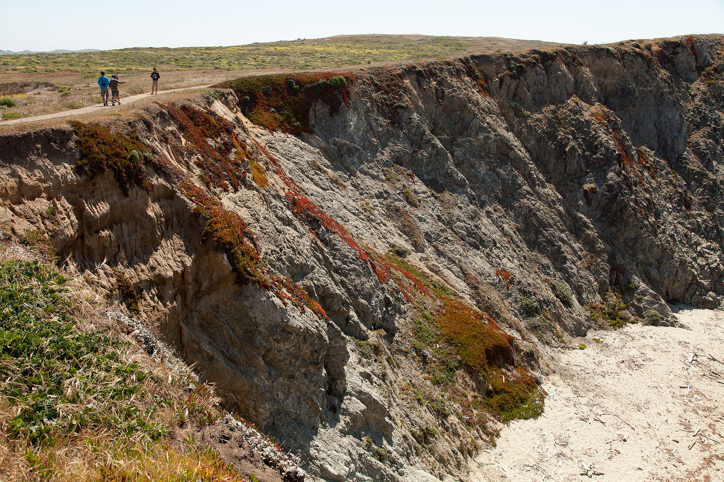 Bodega Bay Hike