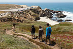 Bodega Bay Hike Descent