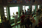 Salmon Viewing at Chittenden Locks