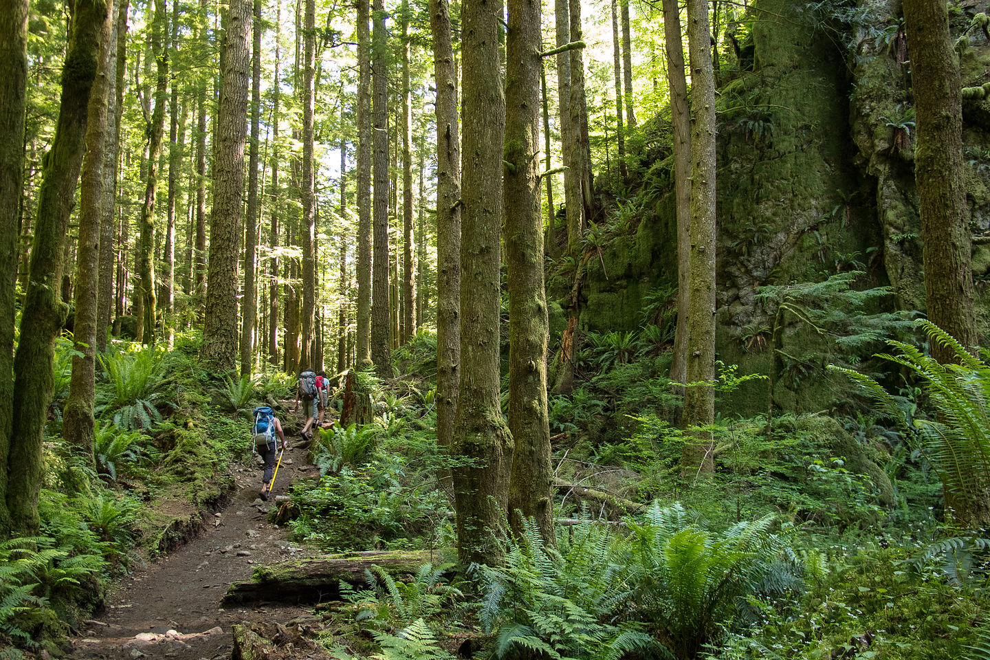 Hiking the Little Si Trail