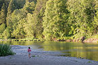 Lolo on South Umpqua River in Stanton Park