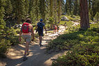 Hiking to Sentinel Dome