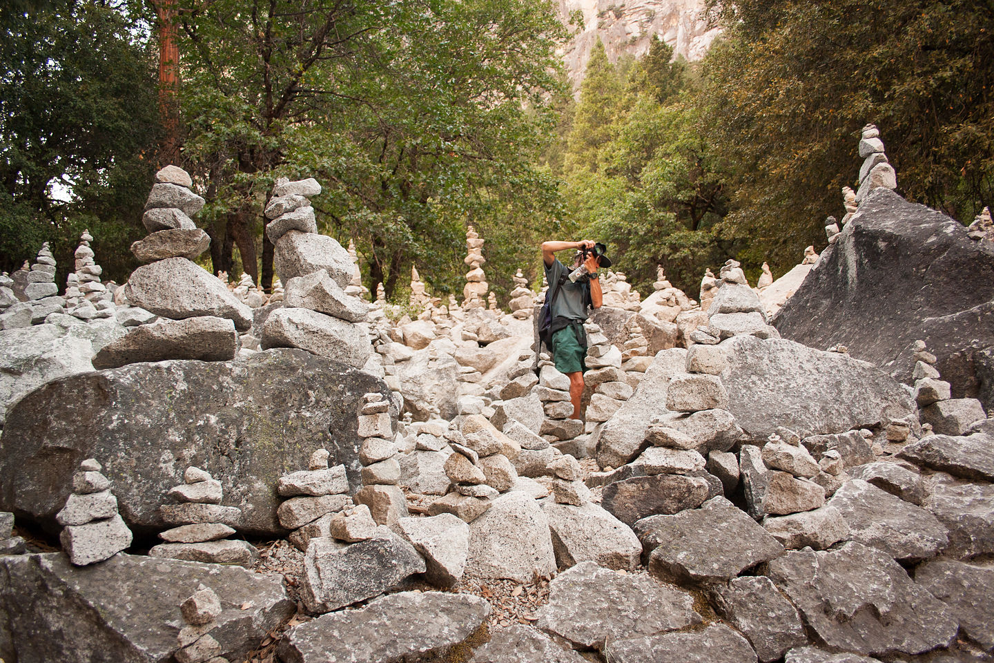 Herb in Rock Cairn Sculpture Garden