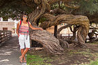 Lolo with Oakland Twisted Tree