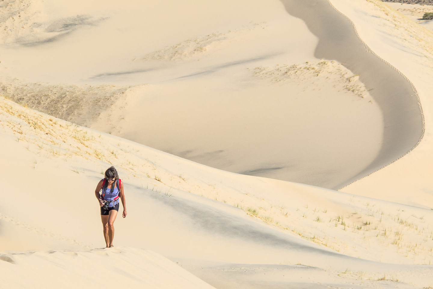 Lolo Hiking up Kelso Dune