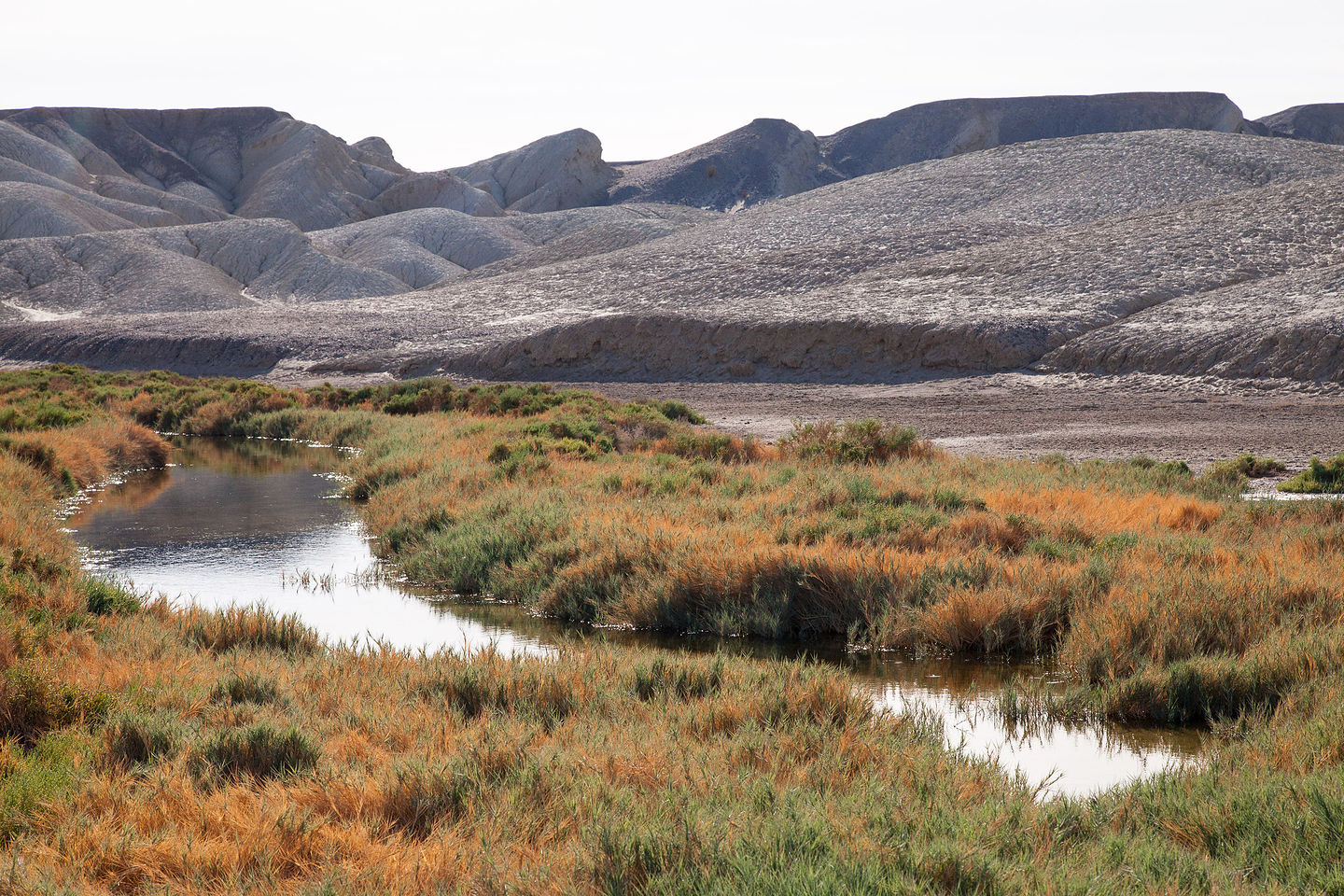 Salt Creek sans Pupfish