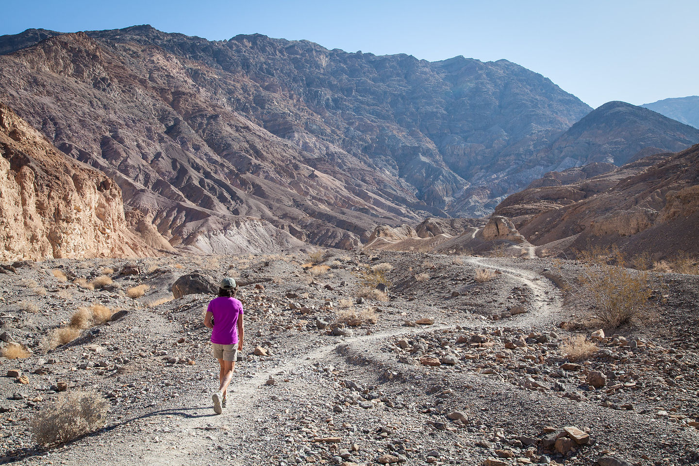 Lolo Hiking Mosaic Canyon