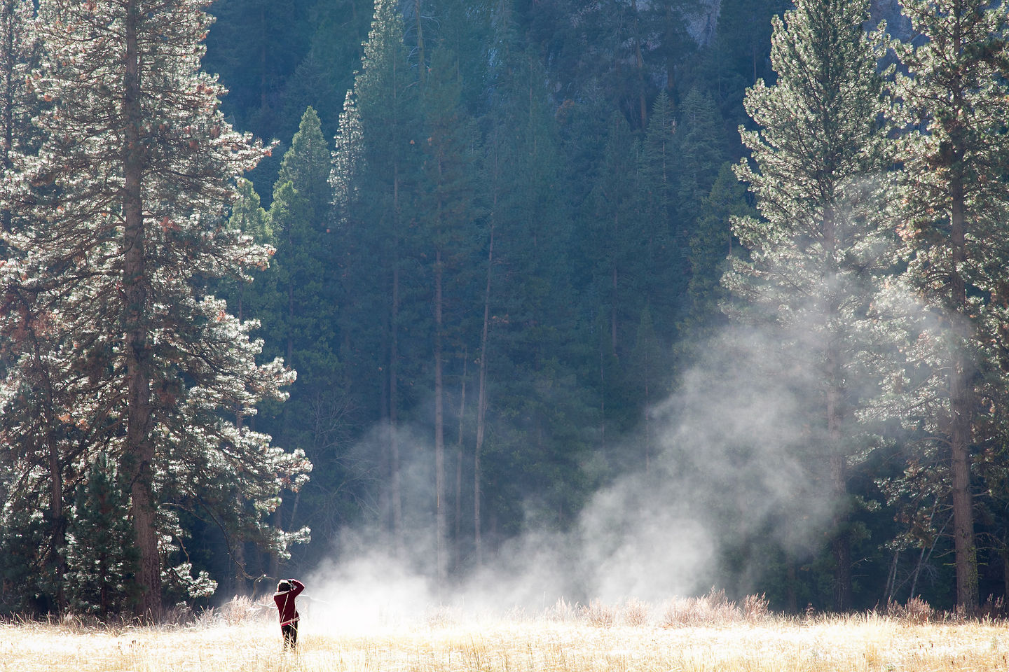 Lolo Photographing Meadow Mist