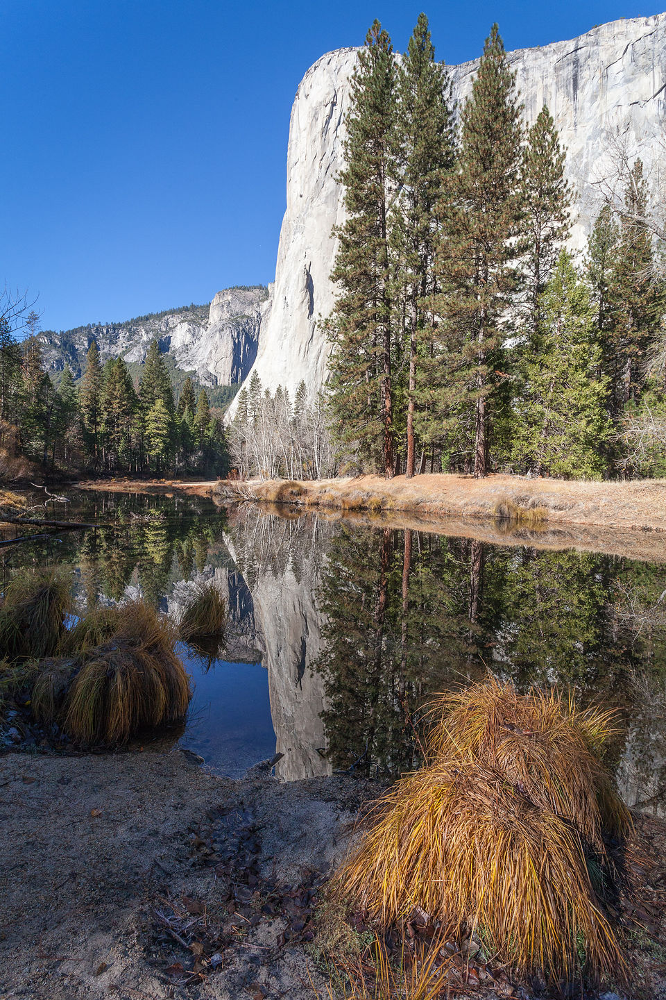 El Capitan Picnic Area