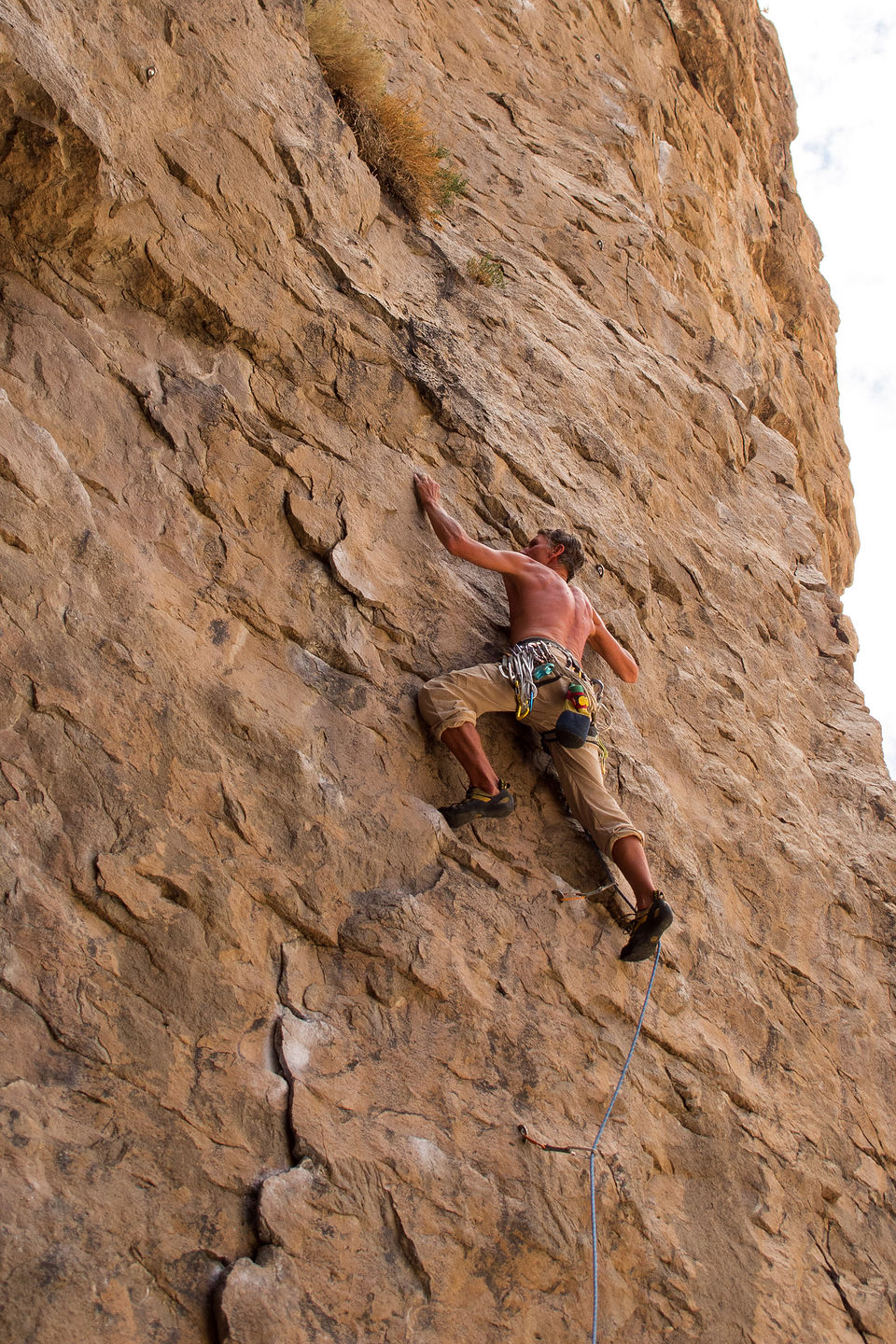 Herb Leading Pre-Whipper