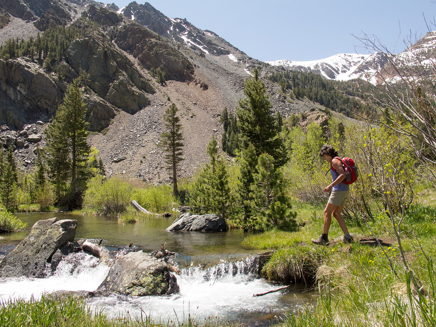 Lolo Hiking Lundy Canyon