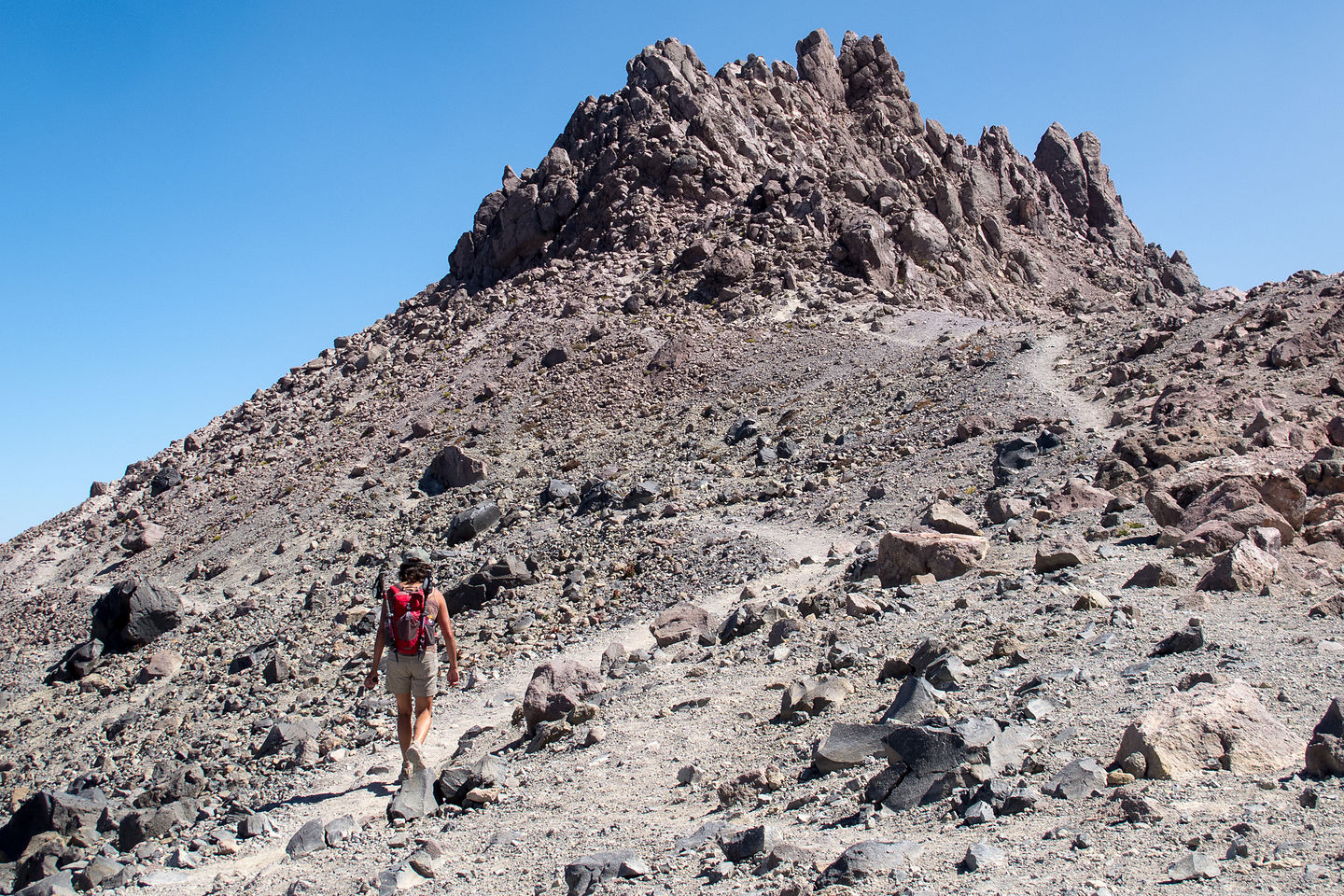 Lolo on Trail between Lassen Summits