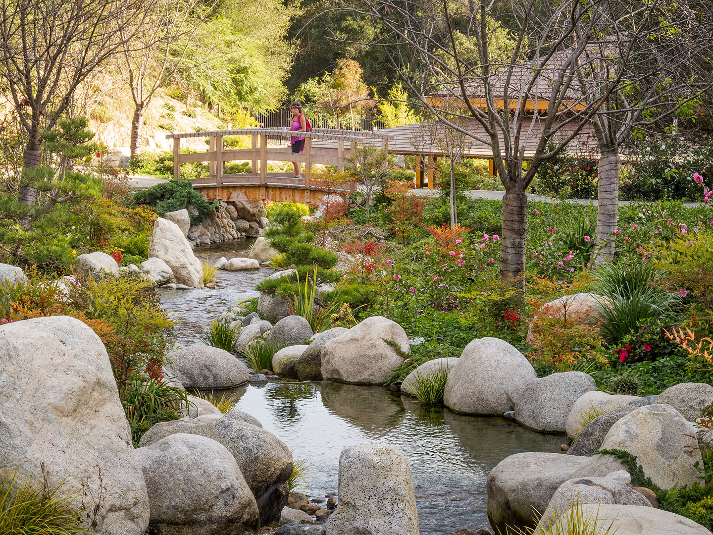 Japanese Friendship Garden