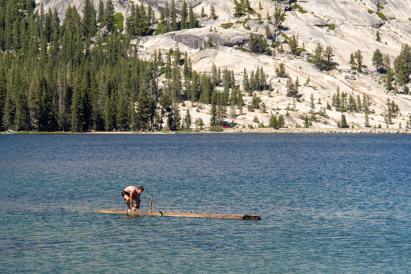 Tommy log rolling in Tenaya Lake