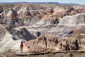 Lolo on the Blue Mesa Trail