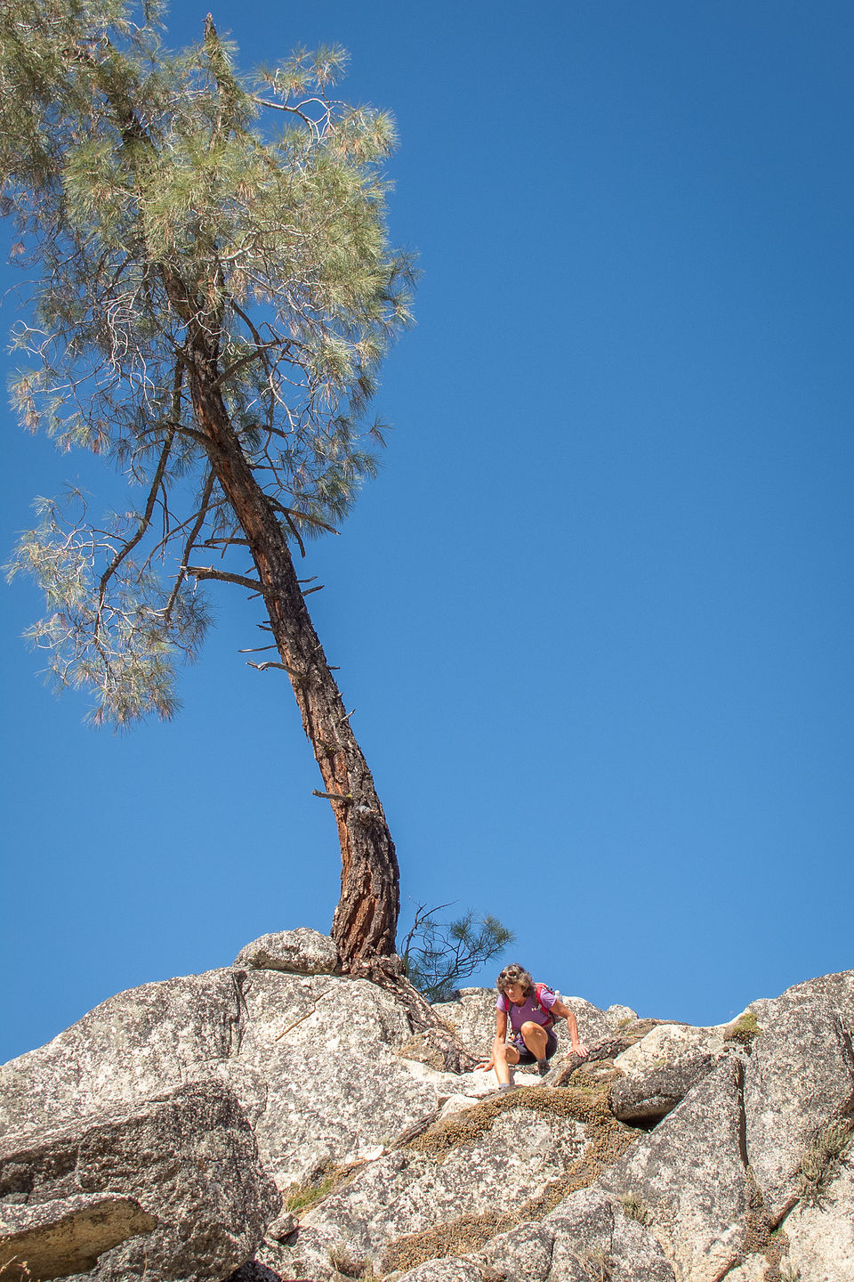 Lolo using 3-point hiking technique