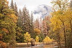 Peek-a-boo Half Dome