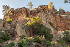 Along the Rim Trail